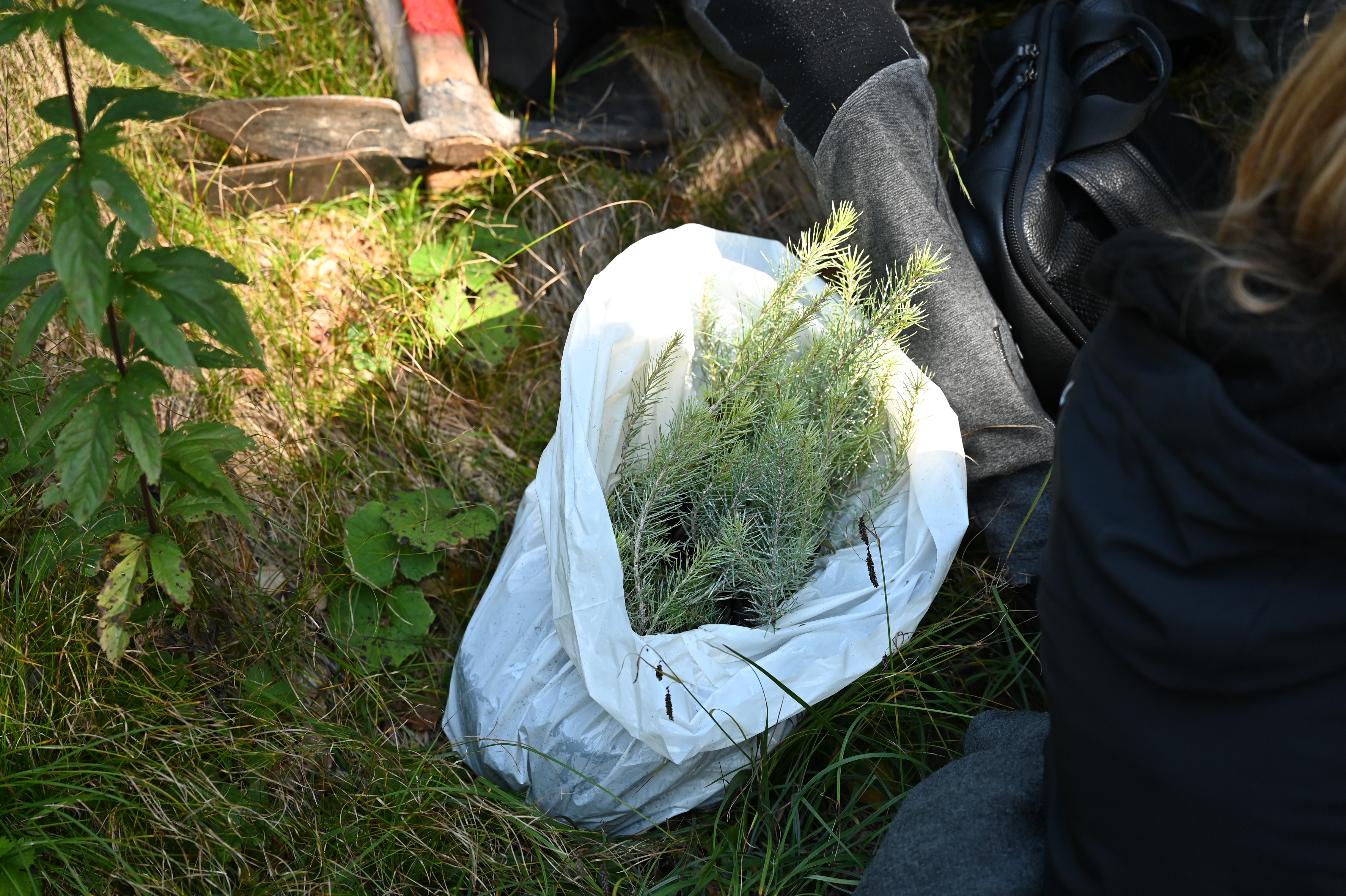 Creditreform Bayreuth: Bäumchenpflanzaktion in Bayrischzell 12