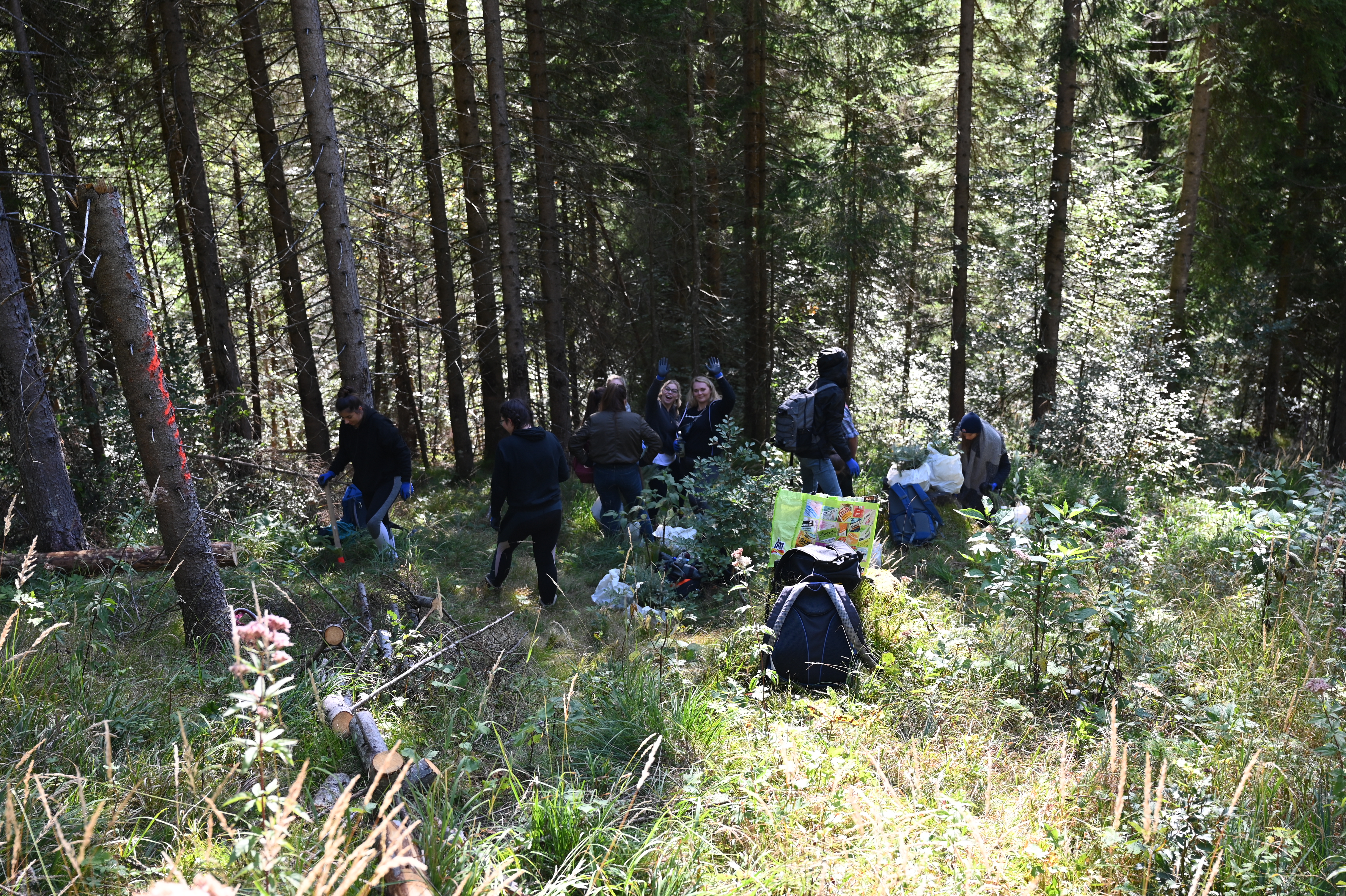 Creditreform Bayreuth: Bäumchenpflanzaktion in Bayrischzell 4