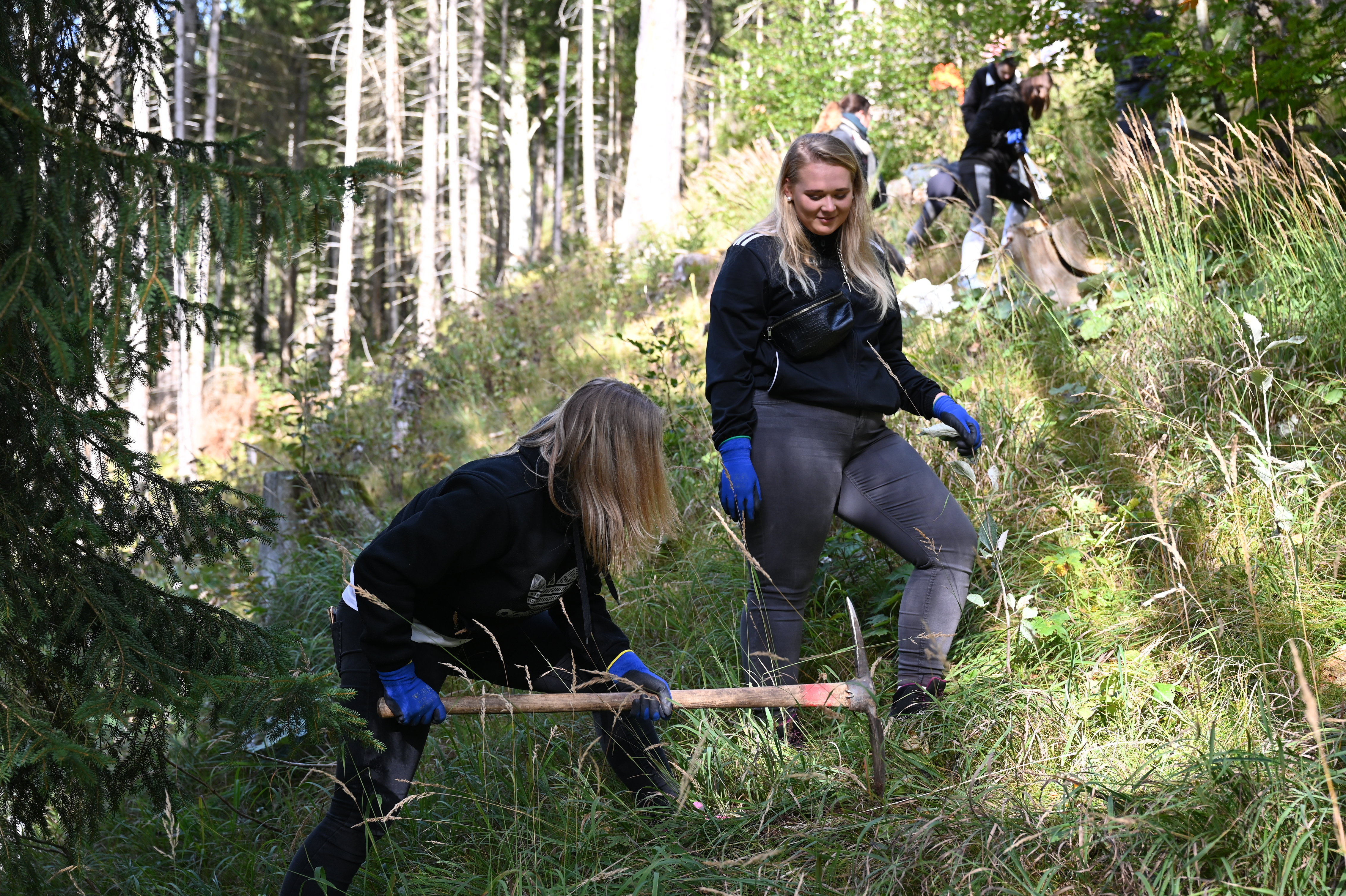 Creditreform Bayreuth: Bäumchenpflanzaktion in Bayrischzell 6