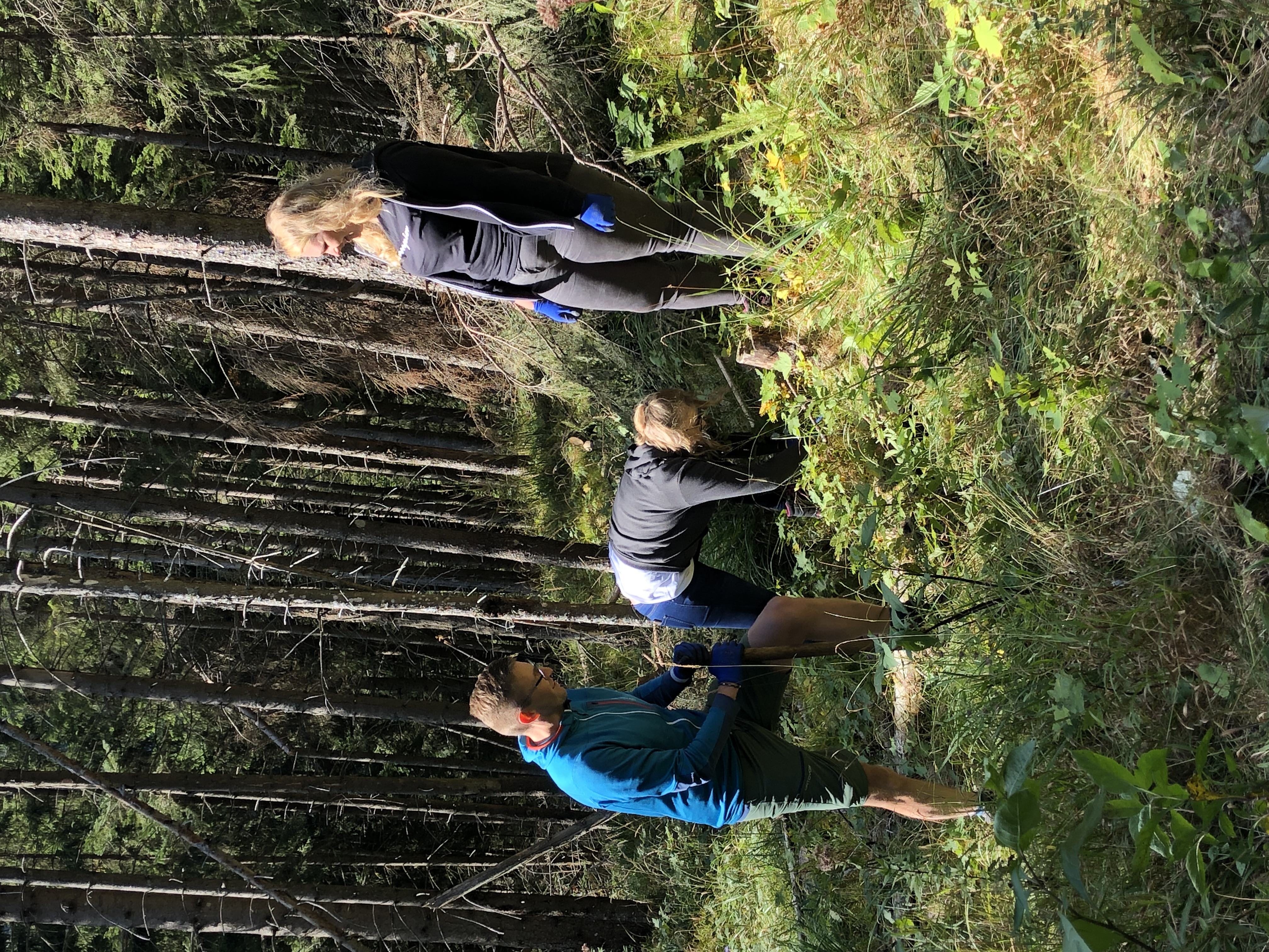 Creditreform Bayreuth: Bäumchenpflanzaktion in Bayrischzell 8