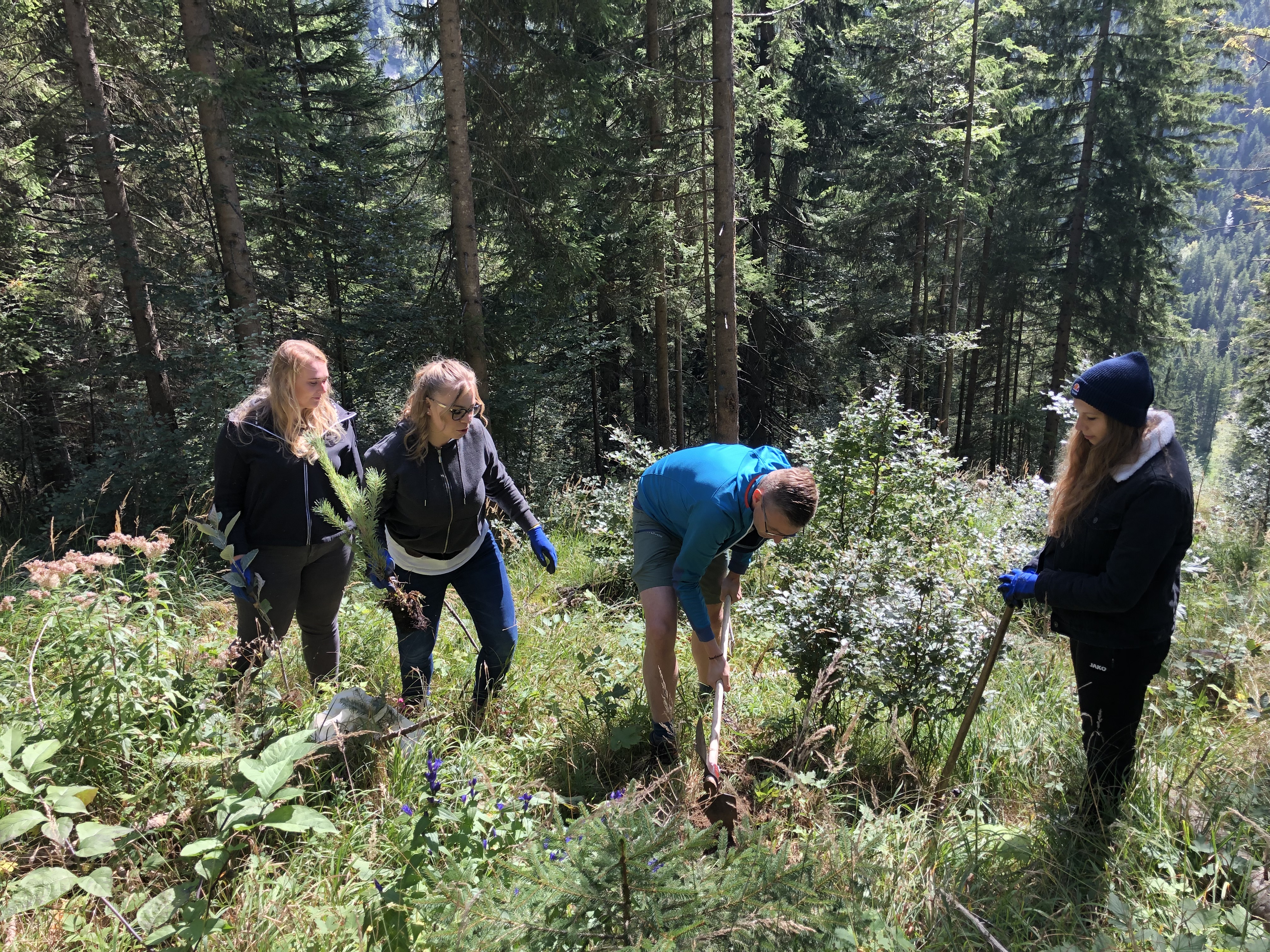 Creditreform Bayreuth: Bäumchenpflanzaktion in Bayrischzell 9