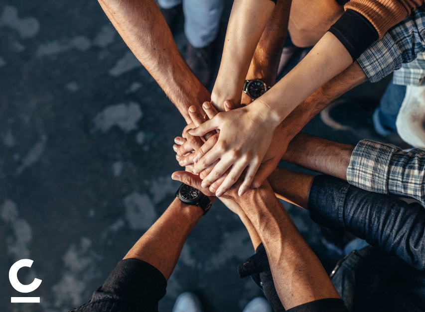 Presse, Fachbeiträge & Neuigkeiten