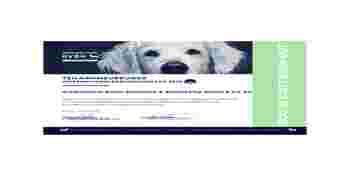 Homepage_Hund.jpg