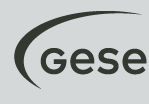 Logo Ge Se Logo Ge Se