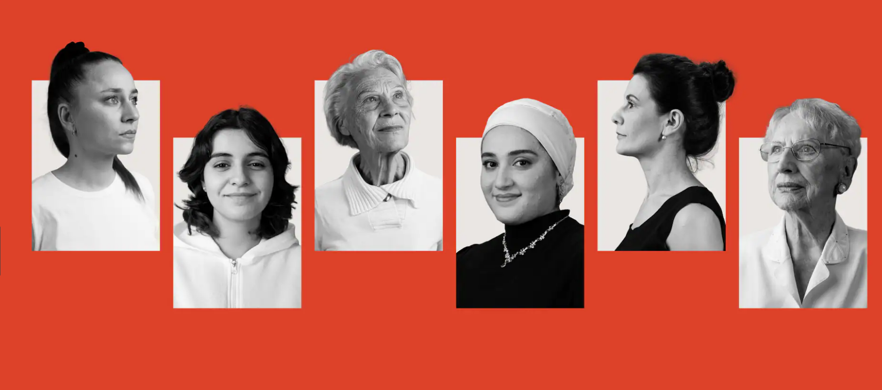 Presse, Fachbeiträge & Neuigkeiten