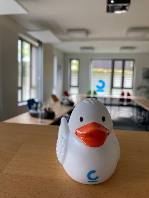 Presse, Fachbeiträge & Neuigkeiten