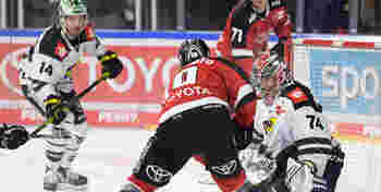 Header-Koelner-Haie.jpg