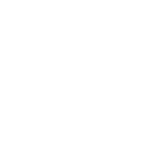 Debitorenregister Deutschland (DRD)