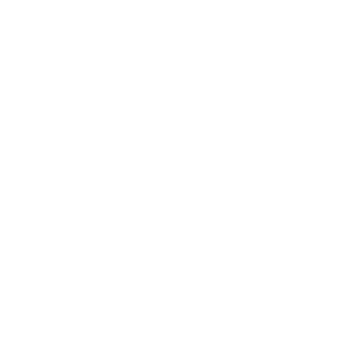 FYRST